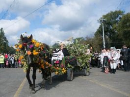 President Nicolae Timofti participated in the actions dedicated to National Wine Day