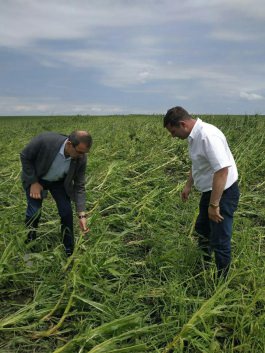 Igor Dodon proposes to the Government the creation of the commission for damages caused by bad weather