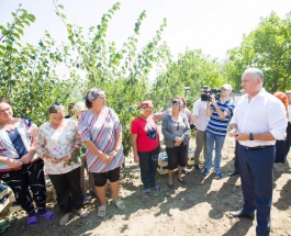 Șeful statului a vizitat livada de pruni a companiei ”Savitera”