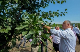 Igor Dodon s-a familiarizat cu activitatea întreprinderii SRL „Codru-ST” din satul Zamciogi, raionul Strășeni