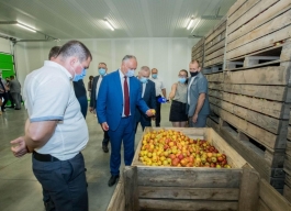 Глава государства посетил два предприятия в Криулянском районе