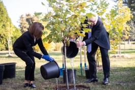 Președinții Maia Sandu și Frank-Walter Steinmeier au continuat tradiția Președinției și au plantat arbori la Grădina Botanică