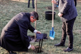 Președinții Maia Sandu și Borut Pahor au discutat cu un grup de tineri și au plantat arbori la Grădina Botanică 