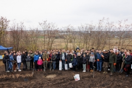 Președinta Maia Sandu a plantat copaci în apropierea comunei Răzeni, Ialoveni