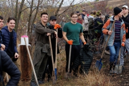 Președinta Maia Sandu a plantat copaci în apropierea comunei Răzeni, Ialoveni