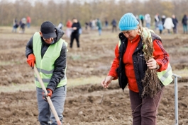 Șefa statului a plantat copaci împreună cu sute de voluntari, în comuna Băcioi  