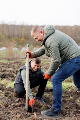 Șefa statului a plantat copaci împreună cu sute de voluntari, în comuna Băcioi  