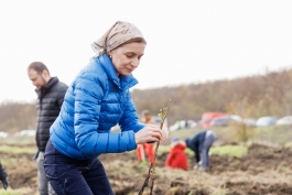 Șefa statului a plantat copaci împreună cu sute de voluntari, în comuna Băcioi  