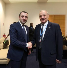 Moldovan president attends UN Climate Change Conference